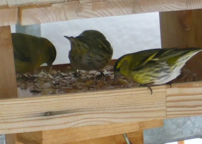 Haus Bergkristall * 힌델랑