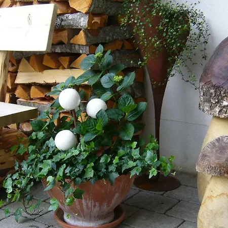 Apartment Haus Bergkristall *